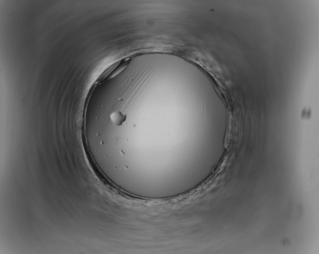 X0000098150003200805011418