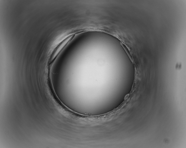 X0000098150005200805011418