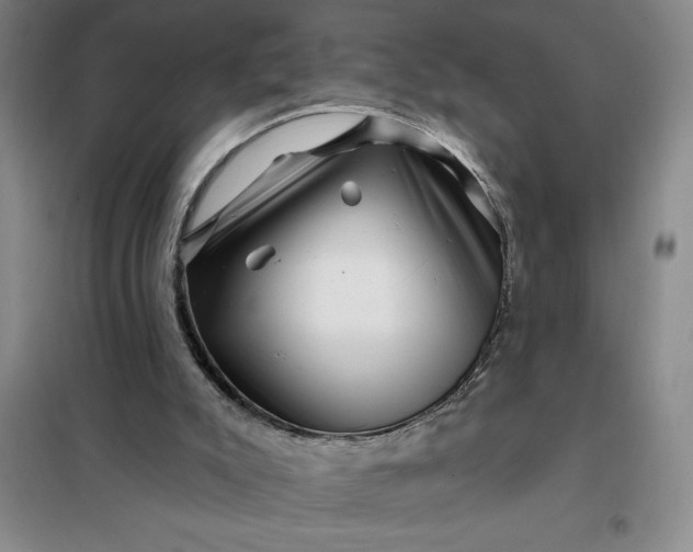 X0000098150007200805011418