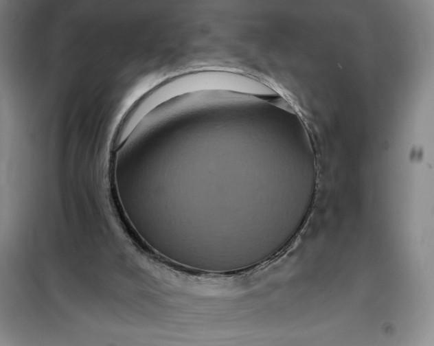 X0000098150008200805011418