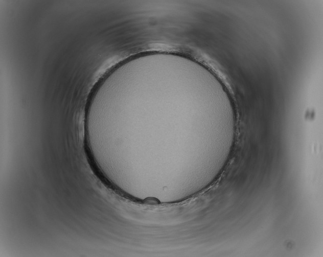 X0000098150011200805011418