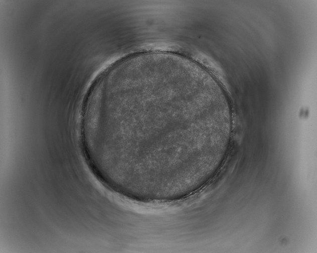 X0000098150012200805011418