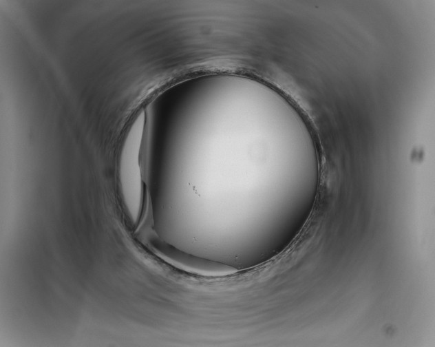 X0000098150013200805011418