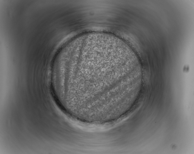 X0000098150016200805011418
