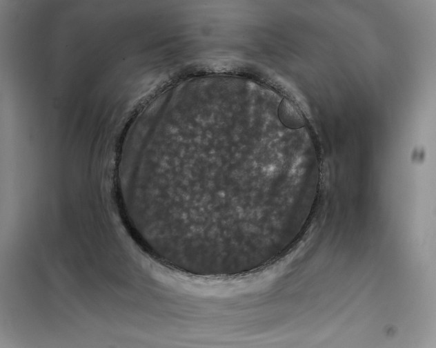 X0000098150018200805011418