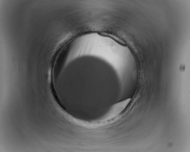 X0000098150019200805011418