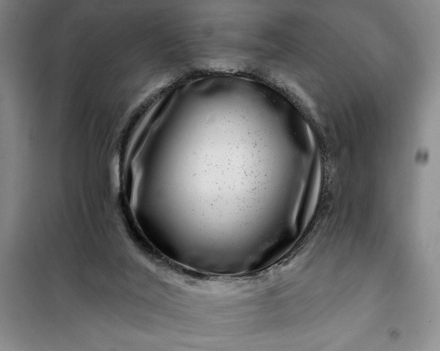 X0000098150020200805011418
