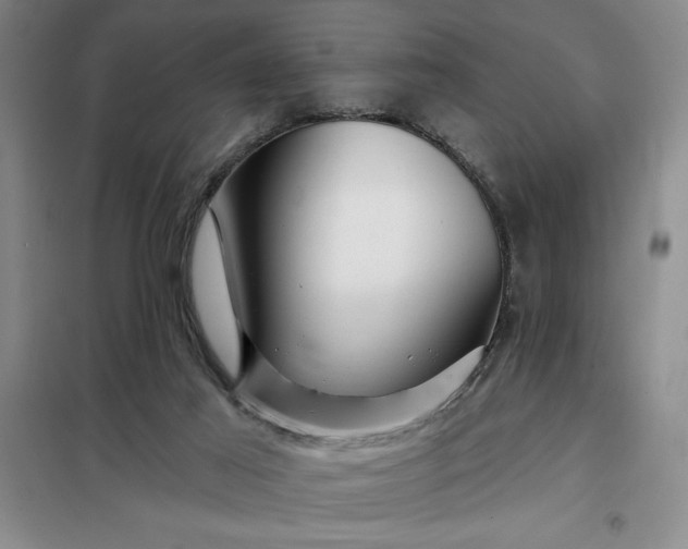 X0000098150021200805011418