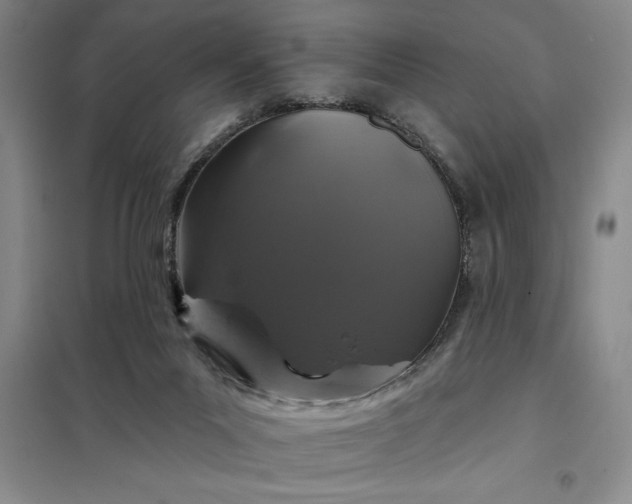 X0000098150023200805011418