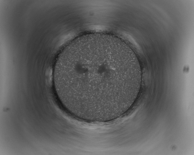 X0000098150024200805011418