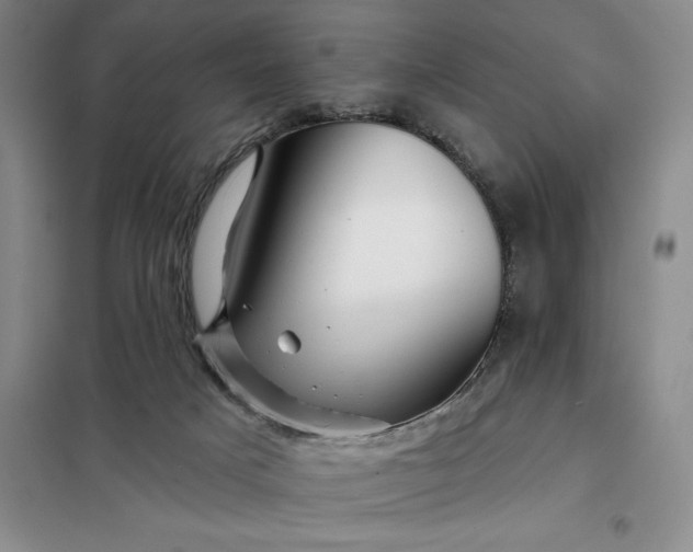 X0000098150025200805011418