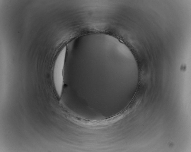 X0000098150027200805011418