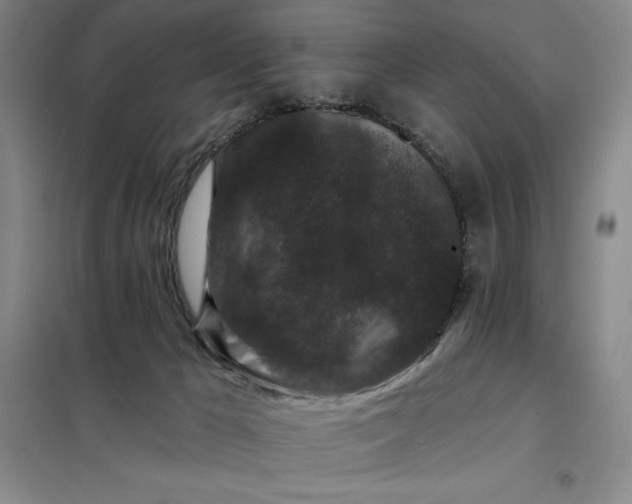 X0000098150029200805011418