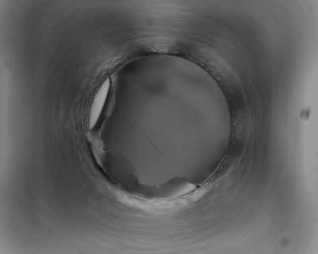X0000098150031200805011418