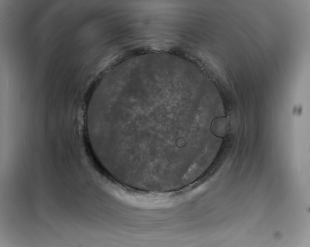 X0000098150032200805011418