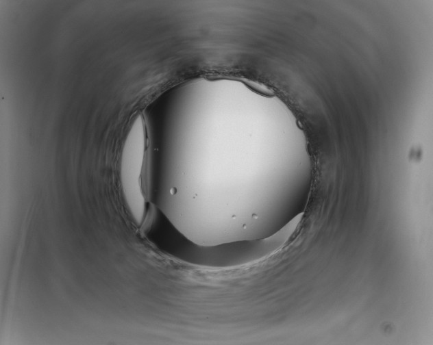 X0000098150033200805011418