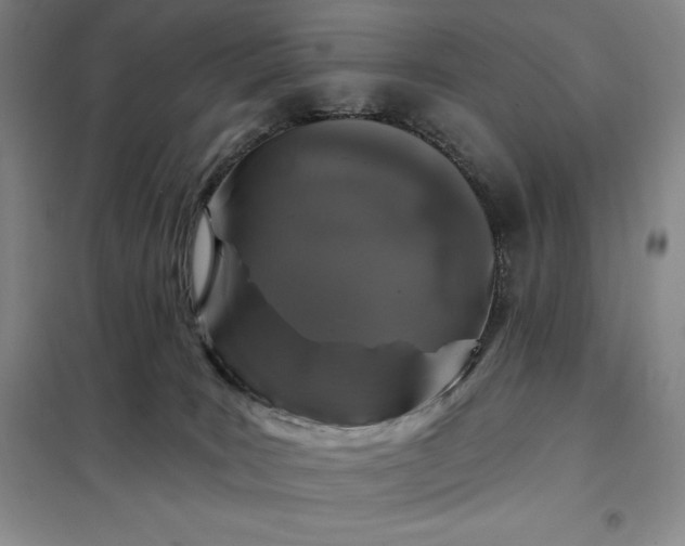 X0000098150035200805011418