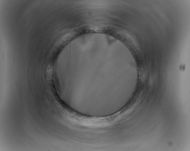 X0000098150036200805011418