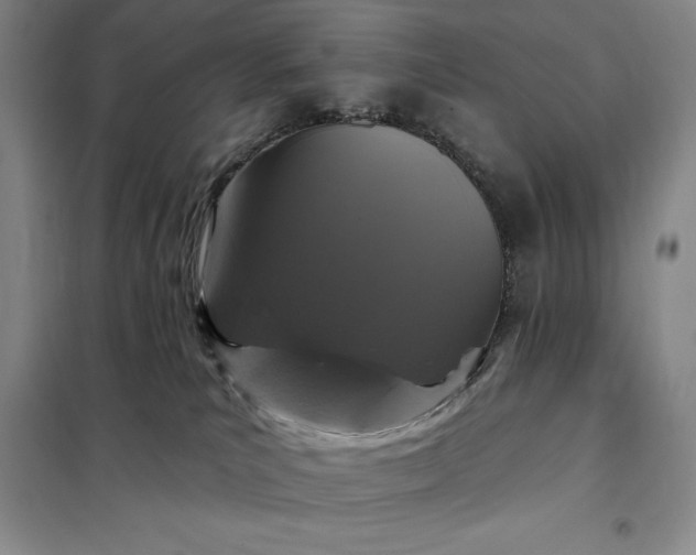 X0000098150039200805011418