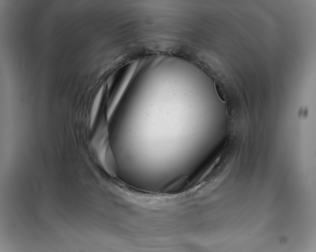 X0000098150040200805011418