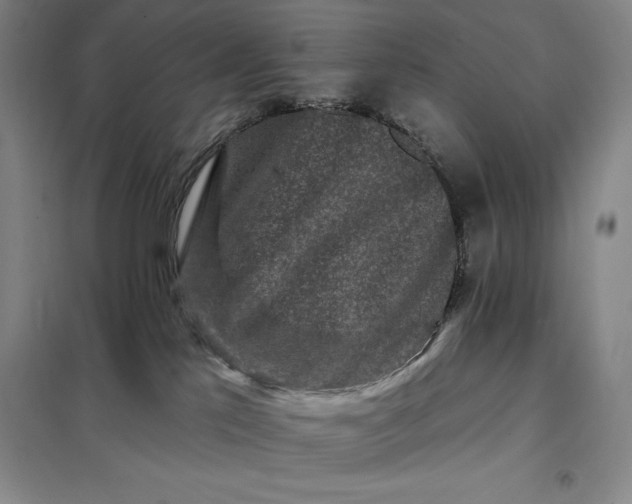X0000098150041200805011418