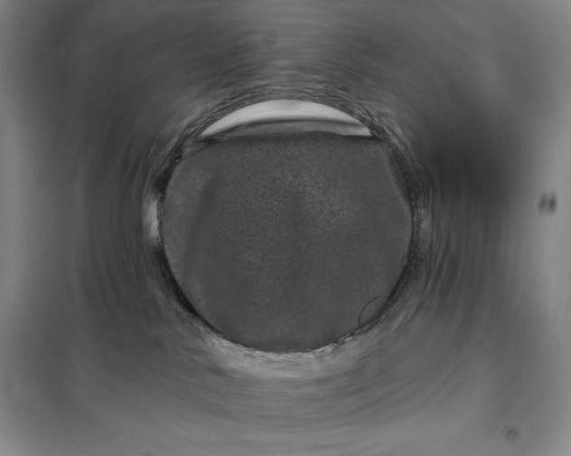 X0000098150042200805011418