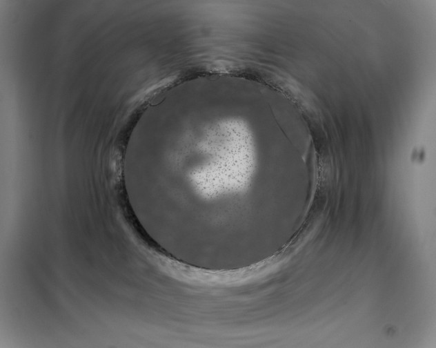 X0000098150043200805011418