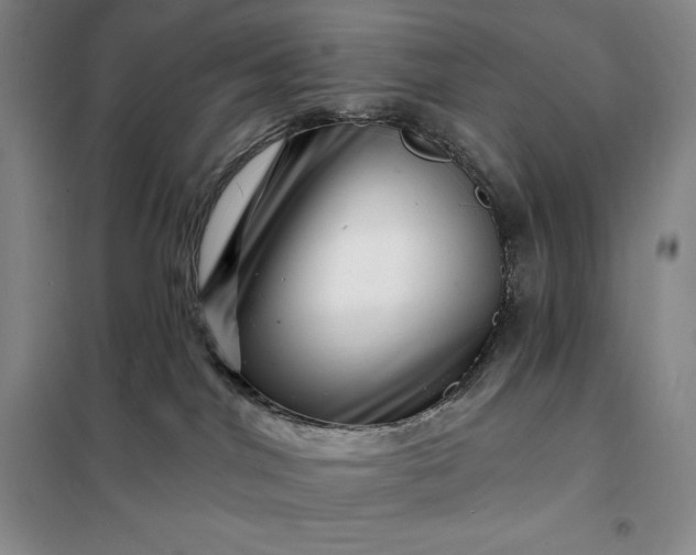 X0000098150044200805011418