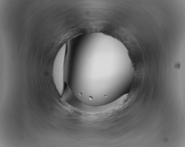 X0000098150045200805011418