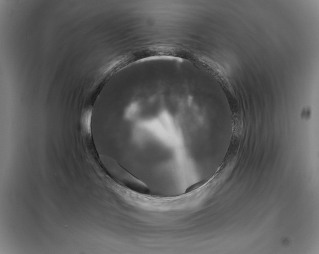 X0000098150047200805011417