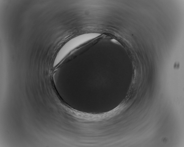 X0000098150048200805011417