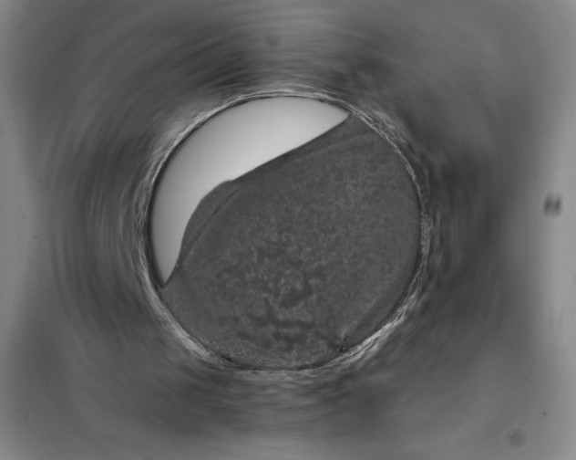 X0000098150049200805011417