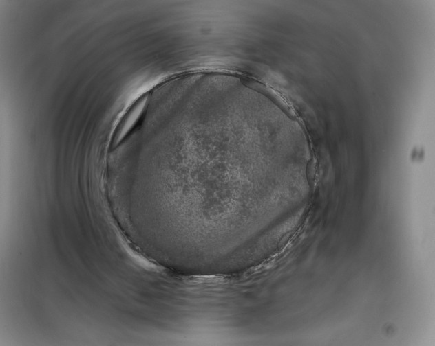 X0000098150050200805011417