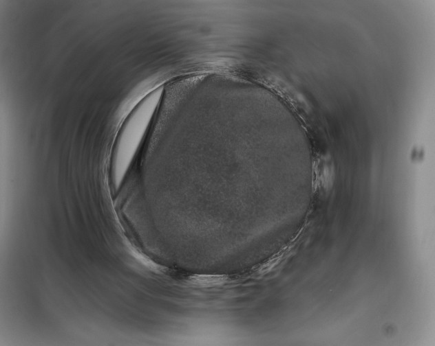 X0000098150051200805011417