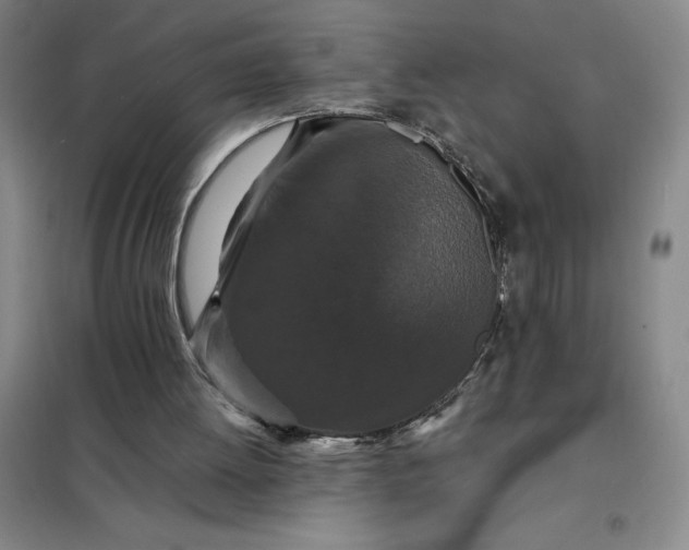 X0000098150052200805011417