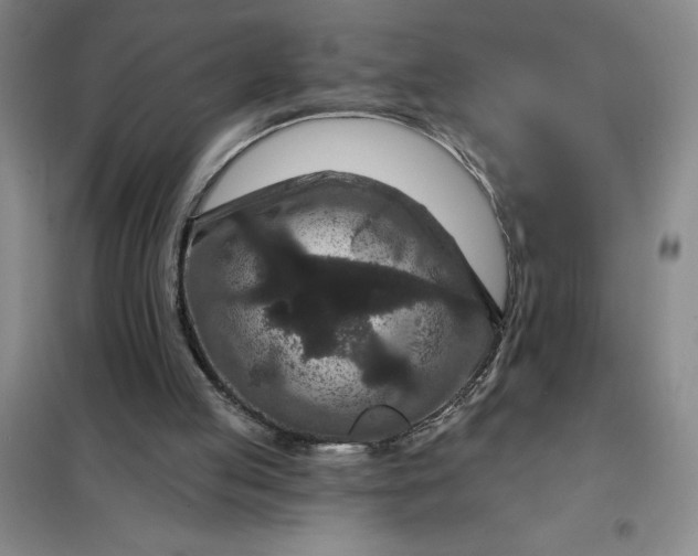 X0000098150053200805011417