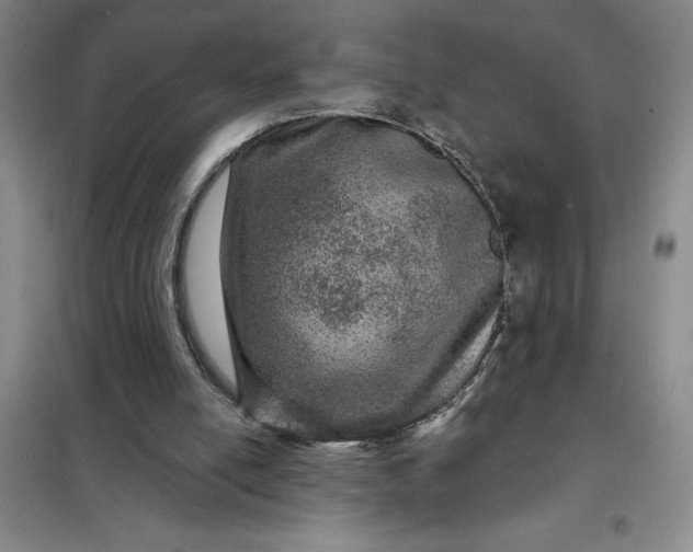 X0000098150054200805011417