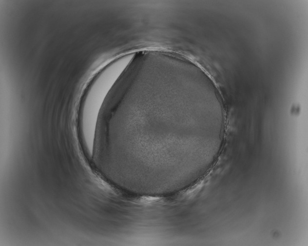 X0000098150055200805011417