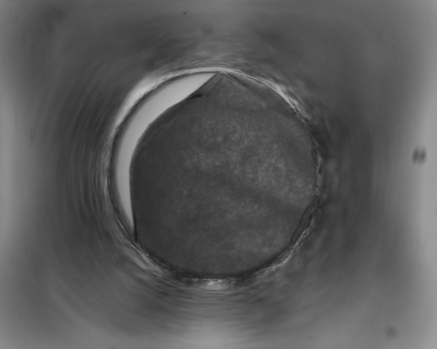 X0000098150056200805011417