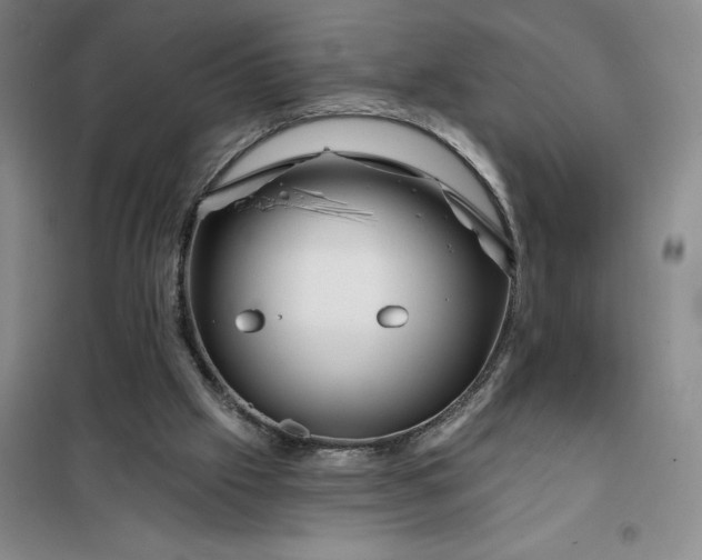 X0000098150057200805011417