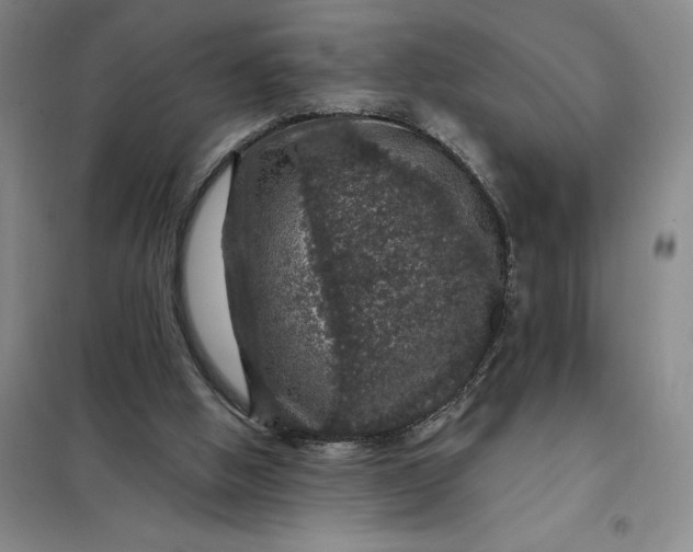 X0000098150058200805011417