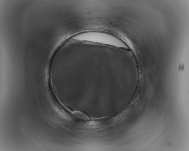 X0000098150059200805011417