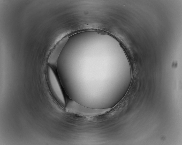 X0000098150060200805011417