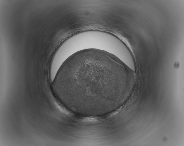 X0000098150061200805011417