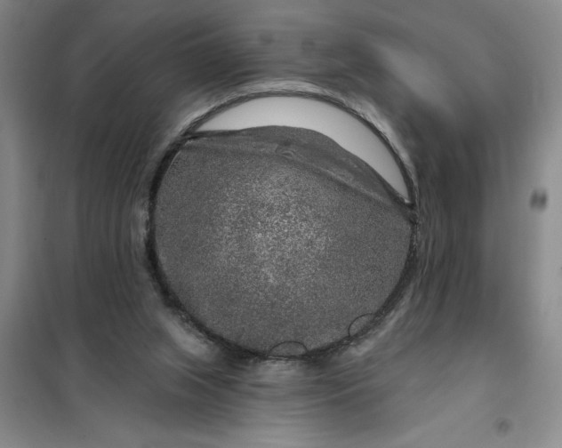 X0000098150063200805011417