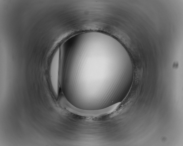 X0000098150064200805011417