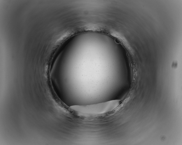 X0000098150066200805011417