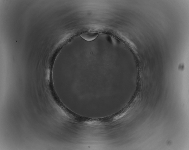 X0000098150067200805011417