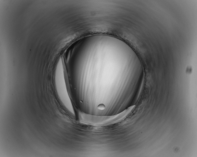 X0000098150068200805011417
