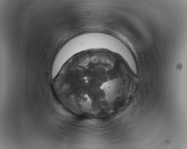 X0000098150069200805011417